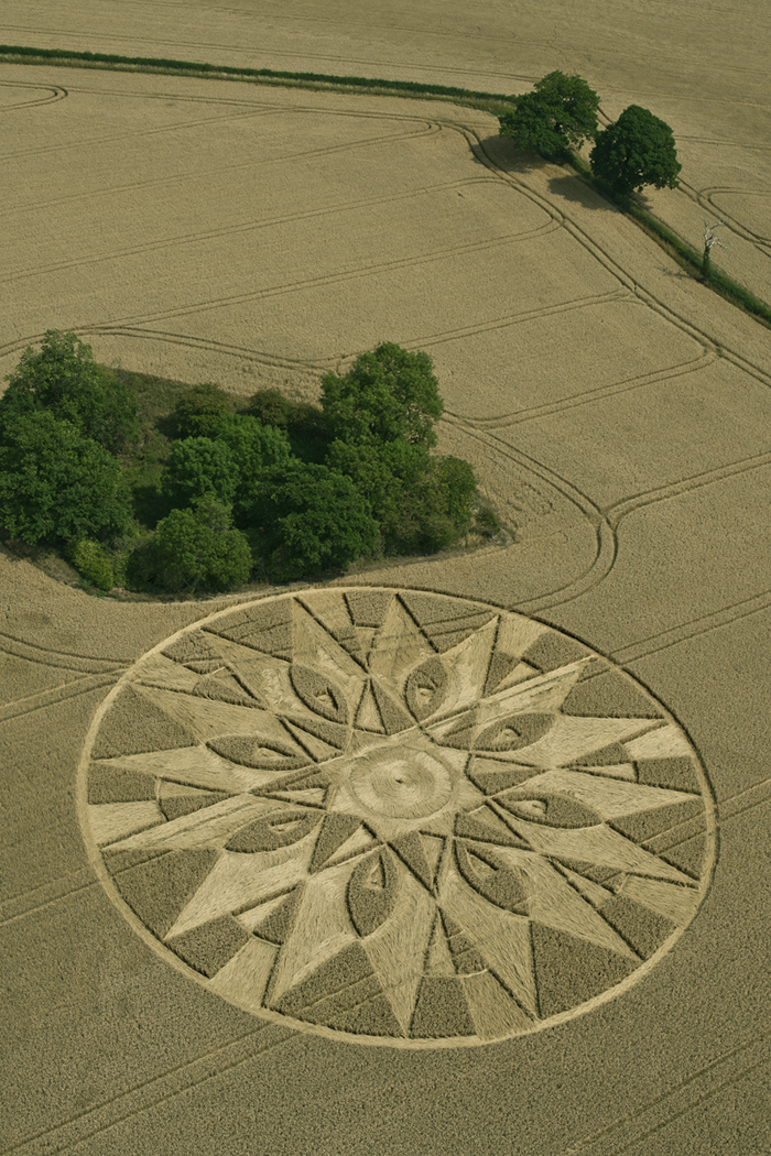 Graancirkel, Temple Balsall, Warwickshire, VK, 3 juli 2011. Foto: © Steve Alexander