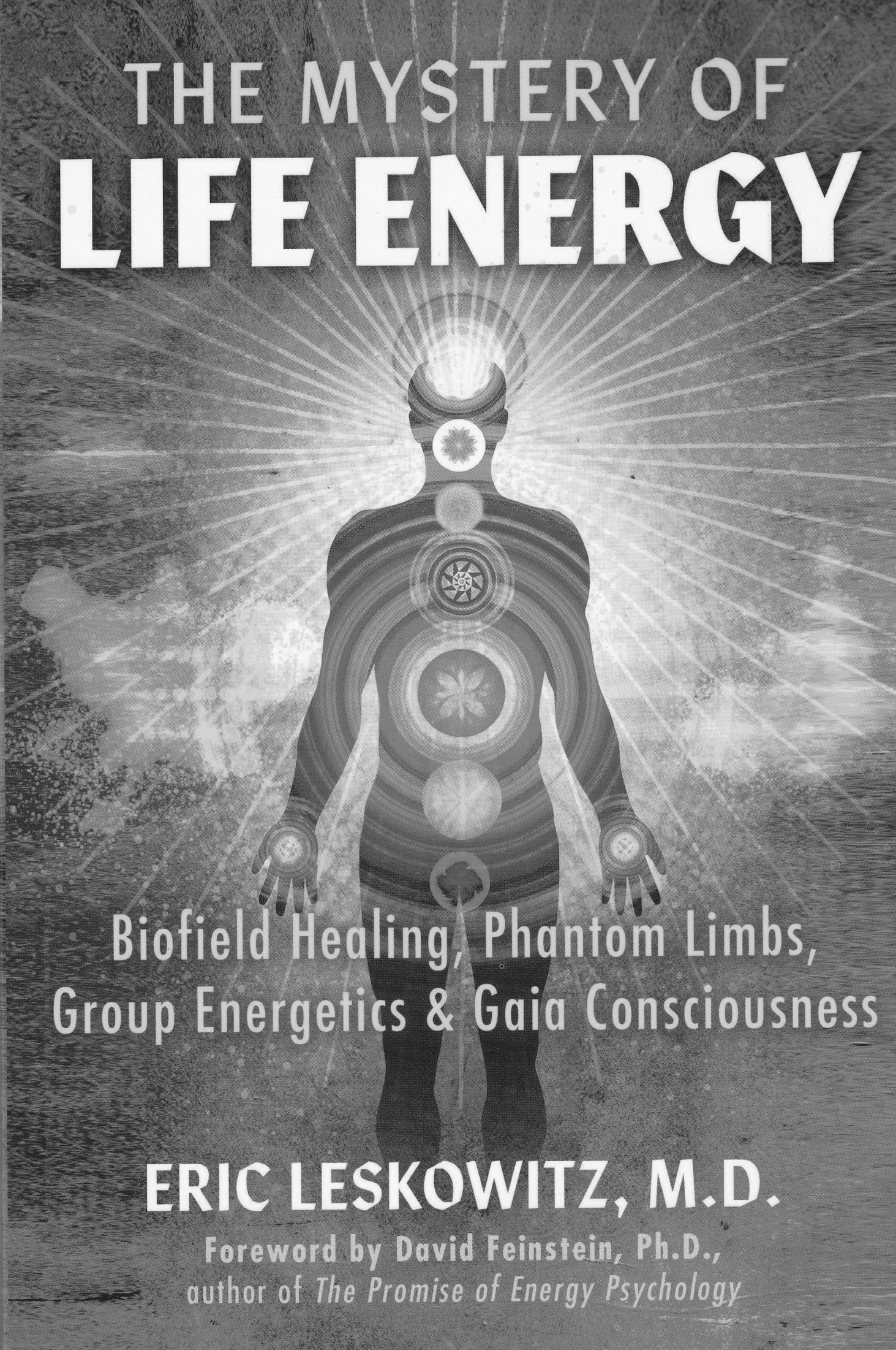 The Mystery of Life Energy