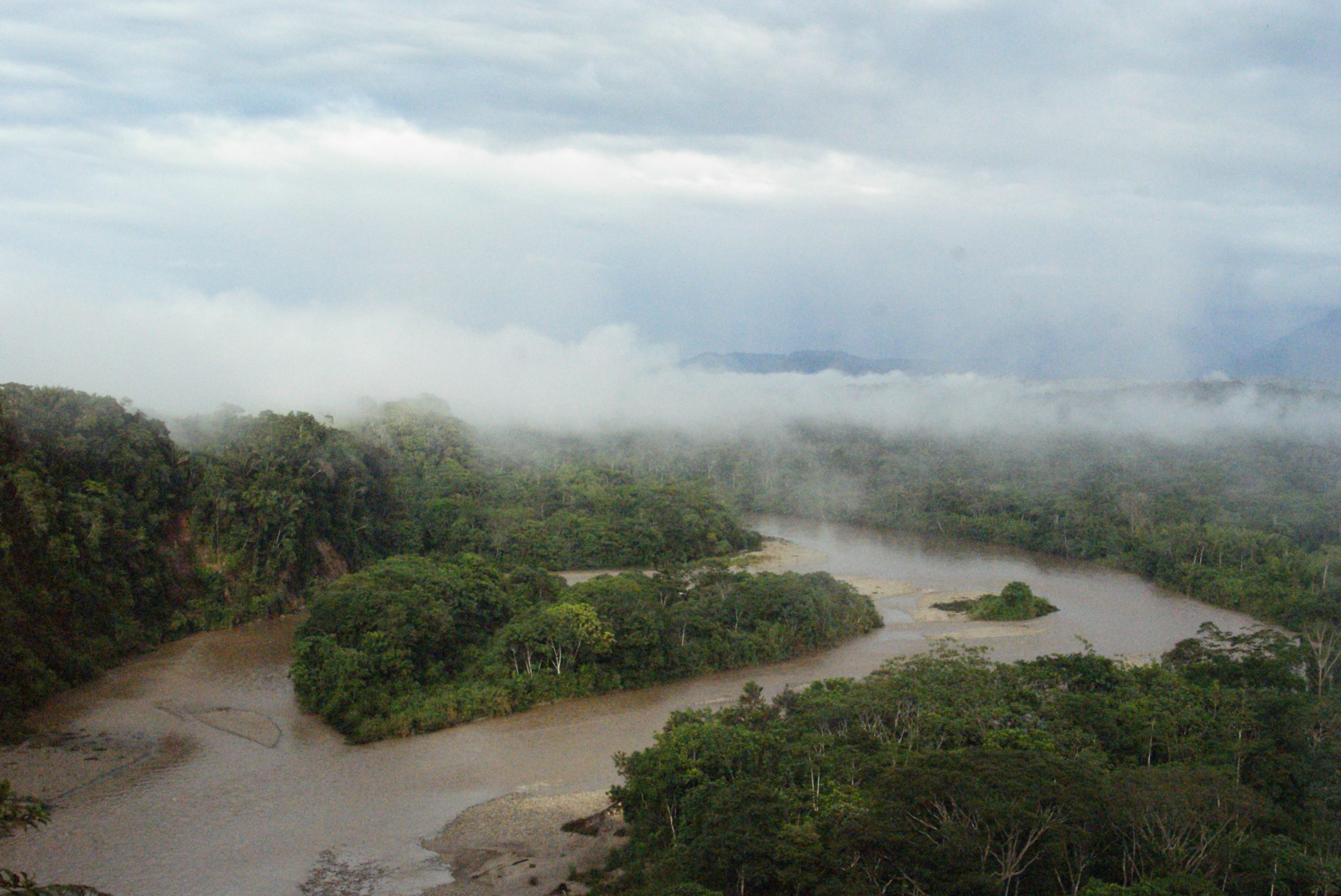 Ecuadorian Amazon, Tena, Napo, Ecuador (Photograph: Dallas Krentzel, <a href='https://commons.wikimedia.org/wiki/File:Ecuadorian_Amazon,_Tena.jpg' target='_blank'>Wikimedia Commons</a>)