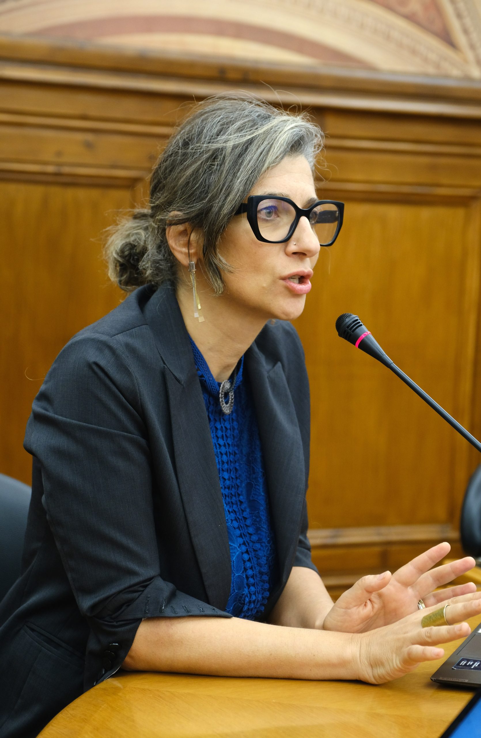 Een bijeenkomst met VN-speciaal rapporteur Francesca Albanese (Foto: Rafael Medeiros, <a href='https://commons.wikimedia.org/wiki/File:Encontro_com_relatora_especial_da_ONU,_Francesca_Albanese_-_Out.24_(54304991330).jpg' target='_blank'>Wikimedia Commons</a>)