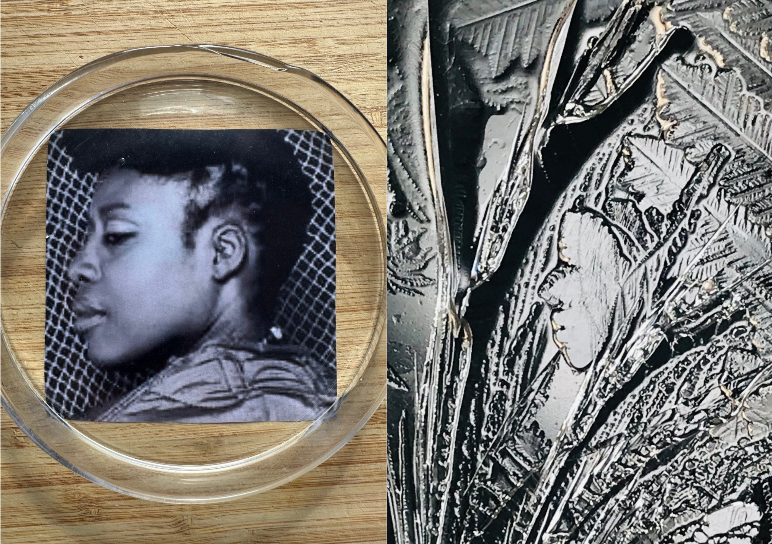 Photograph of face under petri dish, left, with response in ice crystals, right (Photograph: Veda Austin)